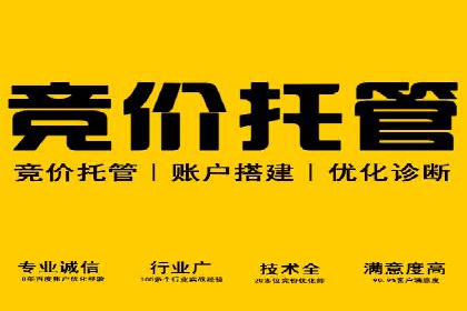 百度平台推广策略及成功案例解析